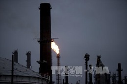 Mỹ: Hoạt động lọc dầu bị ngưng trệ nhiều ngày do bão Harvey